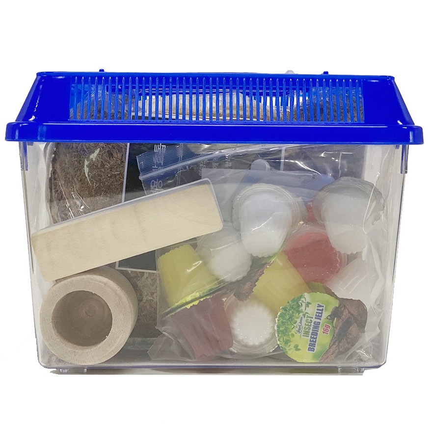 벅스프린스 장수풍뎅이 초급자 사육세트 13,270원