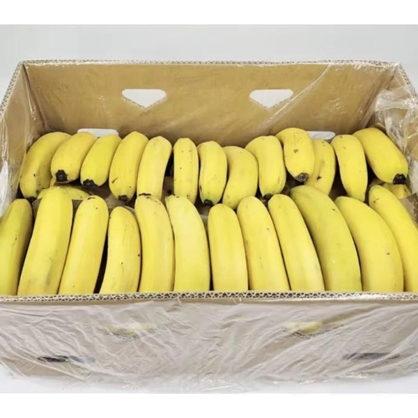 기타 쥬스용 낱발 고당도 바나나 13kg 23,000원