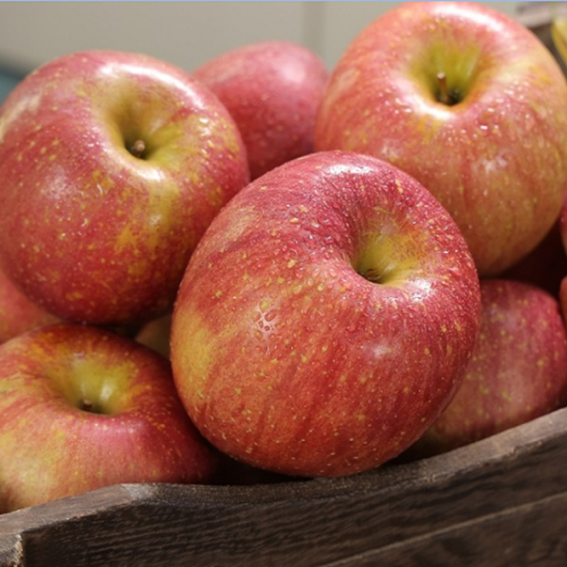 엄지척농장] 건강한 부사 홍로 가정용 빨간사과 12,850원