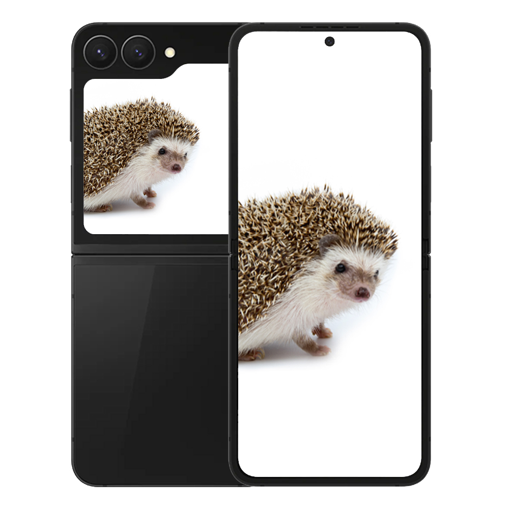 삼성전자 갤럭시 Z 플립7 FE 217,000원