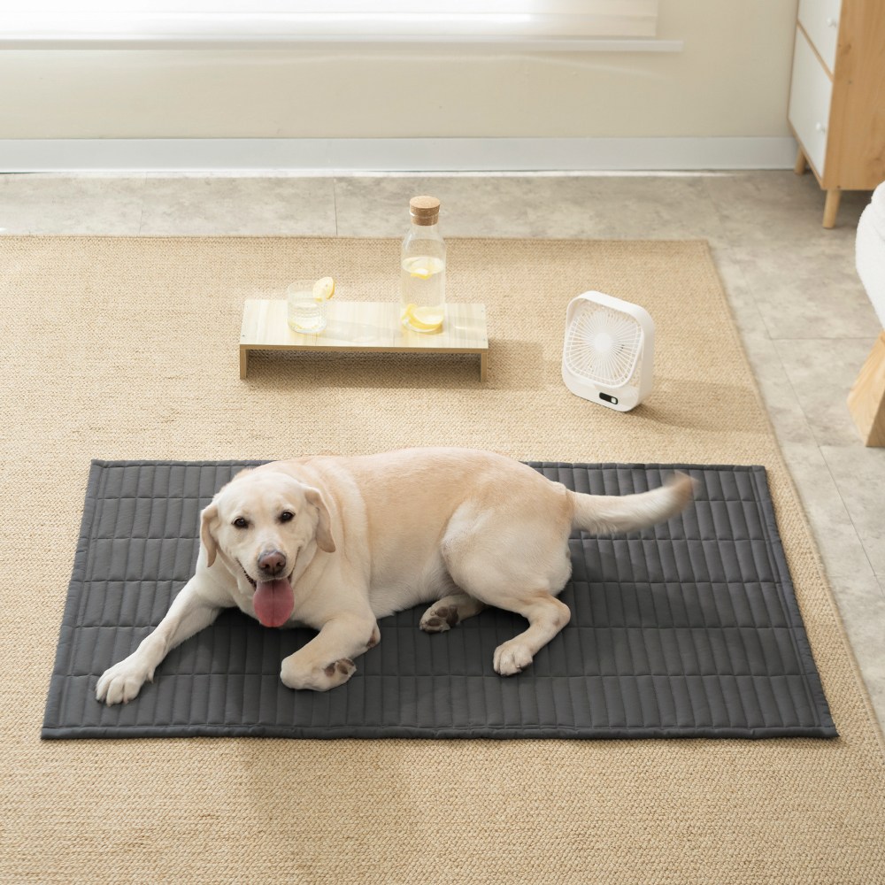 소하임 냉감 쿨링 통세탁 펫 쿨매트 19,500원
