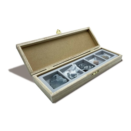 화석표본(5종) 49,000원