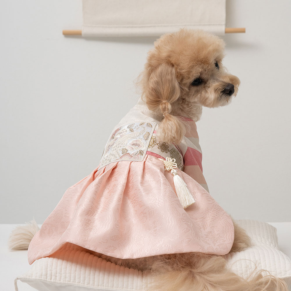 베일리 강아지 애견 한복 항균 가온 서후 한복 41,000원