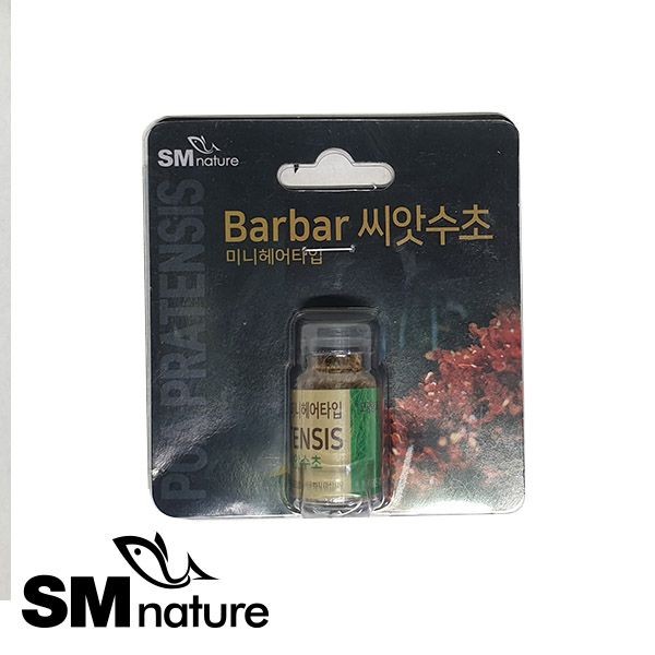 SM 씨앗수초 [미니 헤어글라스] 5,800원