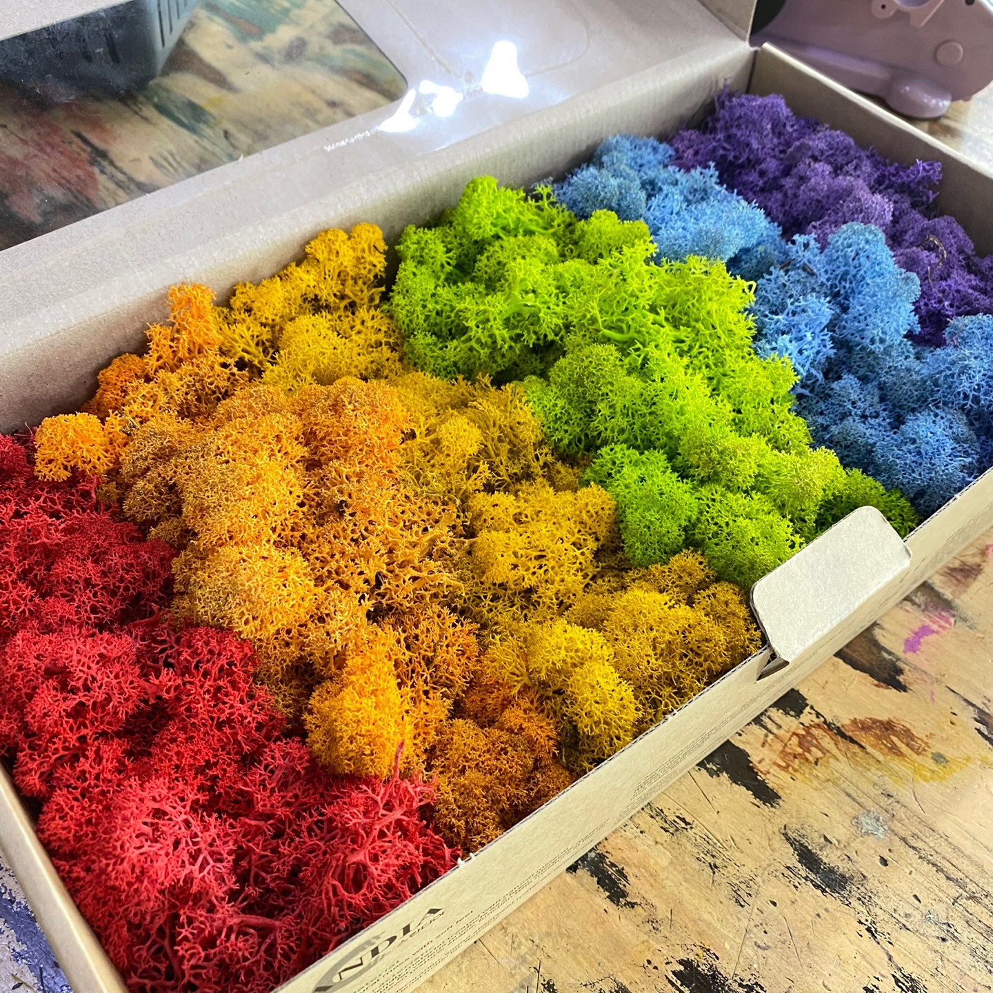 스칸디아모스 무지개 모스 500g(1박스) 공예 공기정화식물 천연 잔디 이끼 취미클래스 DIY 학교수업 재료, 1개 28,500원