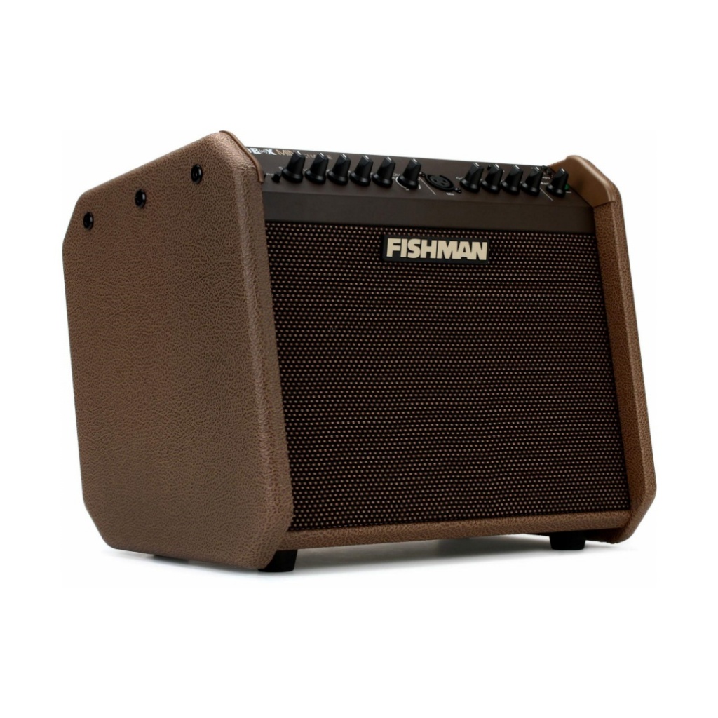 피쉬맨 라우드박스 미니 충전식 버스킹 장비 일렉기타 통기타 앰프 휴대용 스피커 60W 985,000원