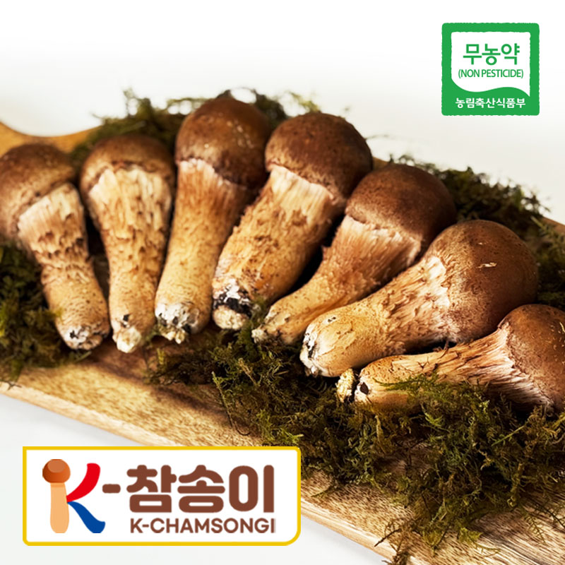 [K-참송이] 참송이버섯 친환경 국산 무농약 특 A B 가정용 등급 300g, 1개, 가정용 300g 10,410원