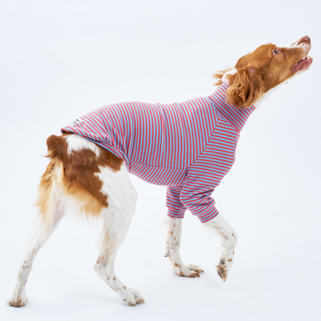 퍼피갤러리 피크닉 스트라이프 터틀넥 위핀 하운드 소형견 대형견옷, 1개 28,000원