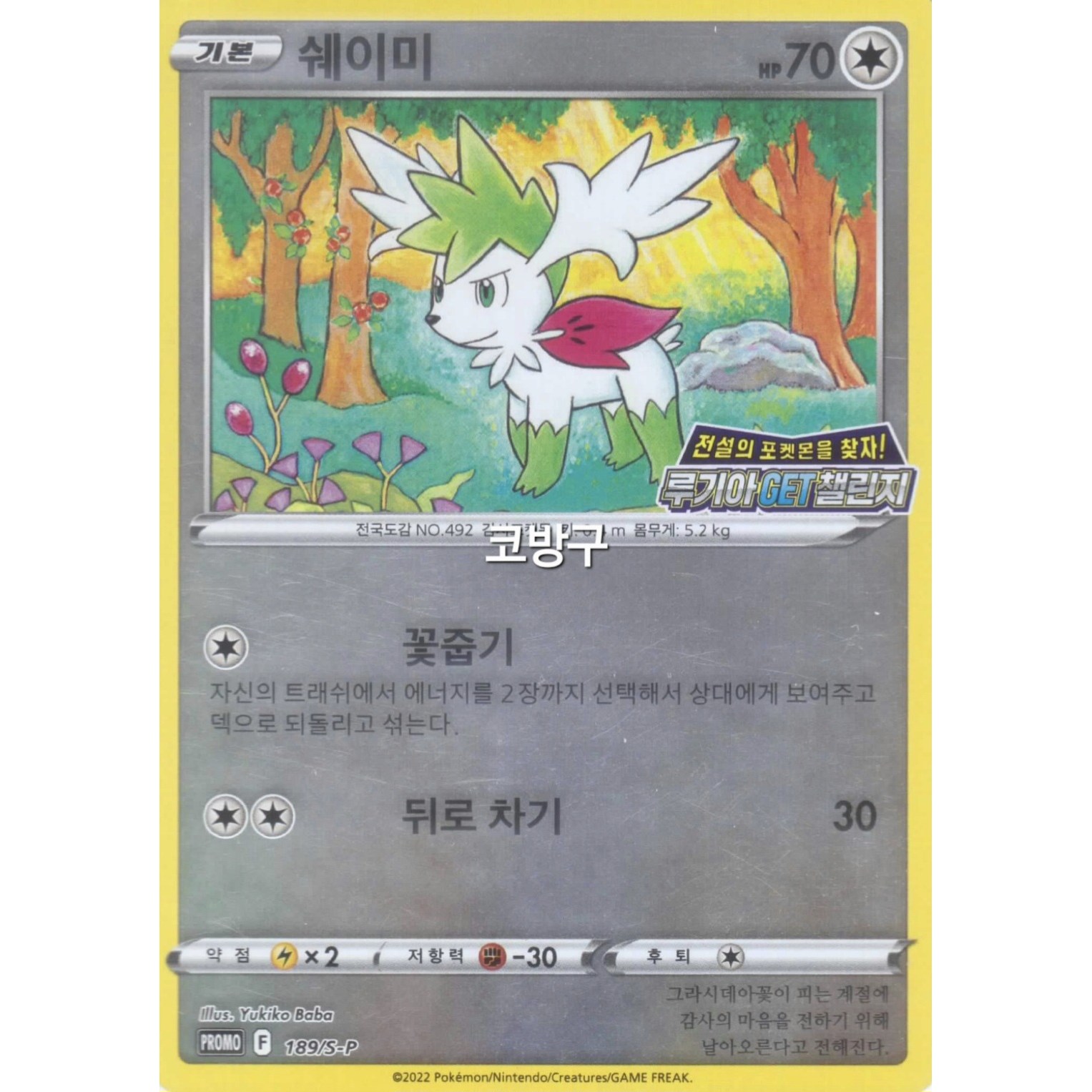 [한정판 프로모]포켓몬카드 소드실드 미스터리 박스 프로모(200/S-P) 안농V[코방구] 19,800원