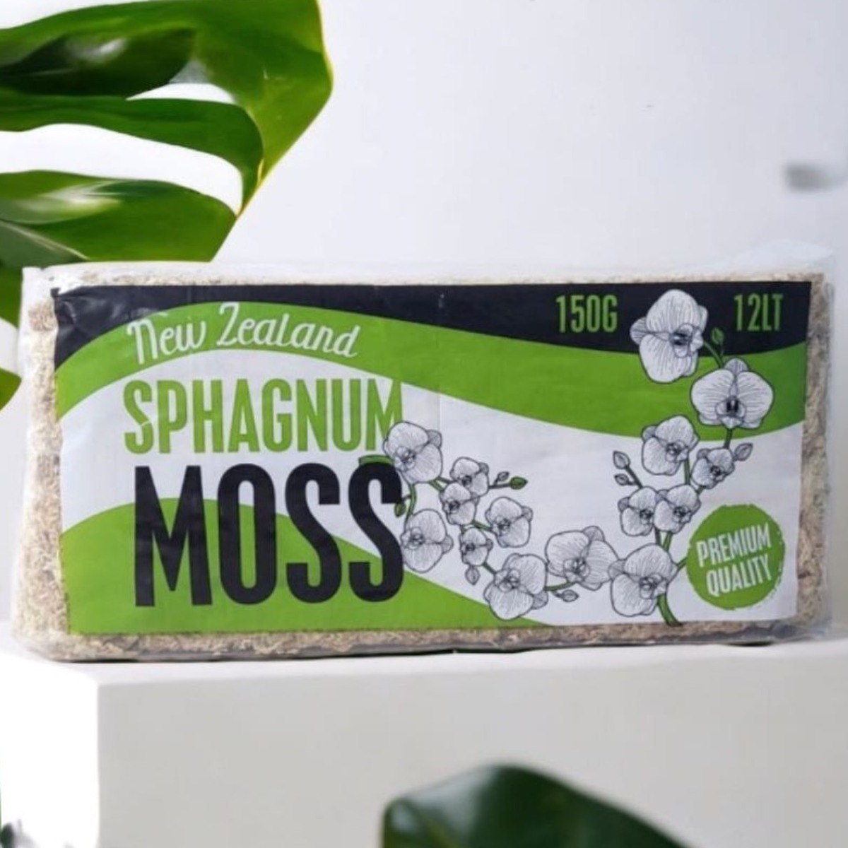 고급 뉴질랜드 천연 수태 75g 150g 500g 풍란 자생란 이끼 난 토피어리, 1개 13,000원