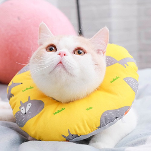 힐링타임 강아지 고양이 도넛 넥카라 M 상처보호 (DO) 9,000원