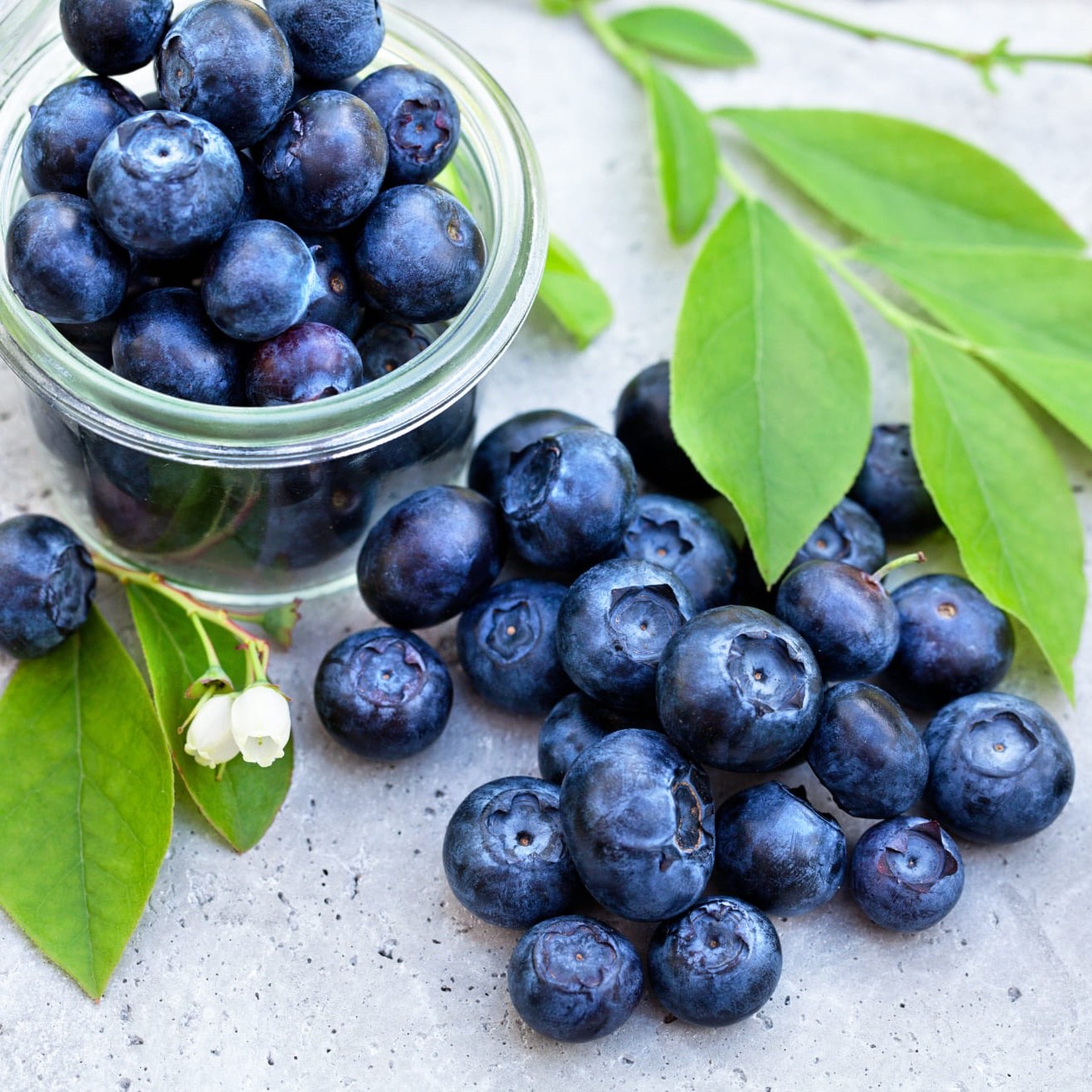 아삭 새콤달콤 블루베리 항공직송 고당도 수입 과일 14,900원