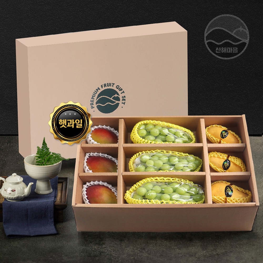 산해마을 애플망고 골드망고 샤인머스캣 과일 선물세트 9수 4.6kg내외 160,000원