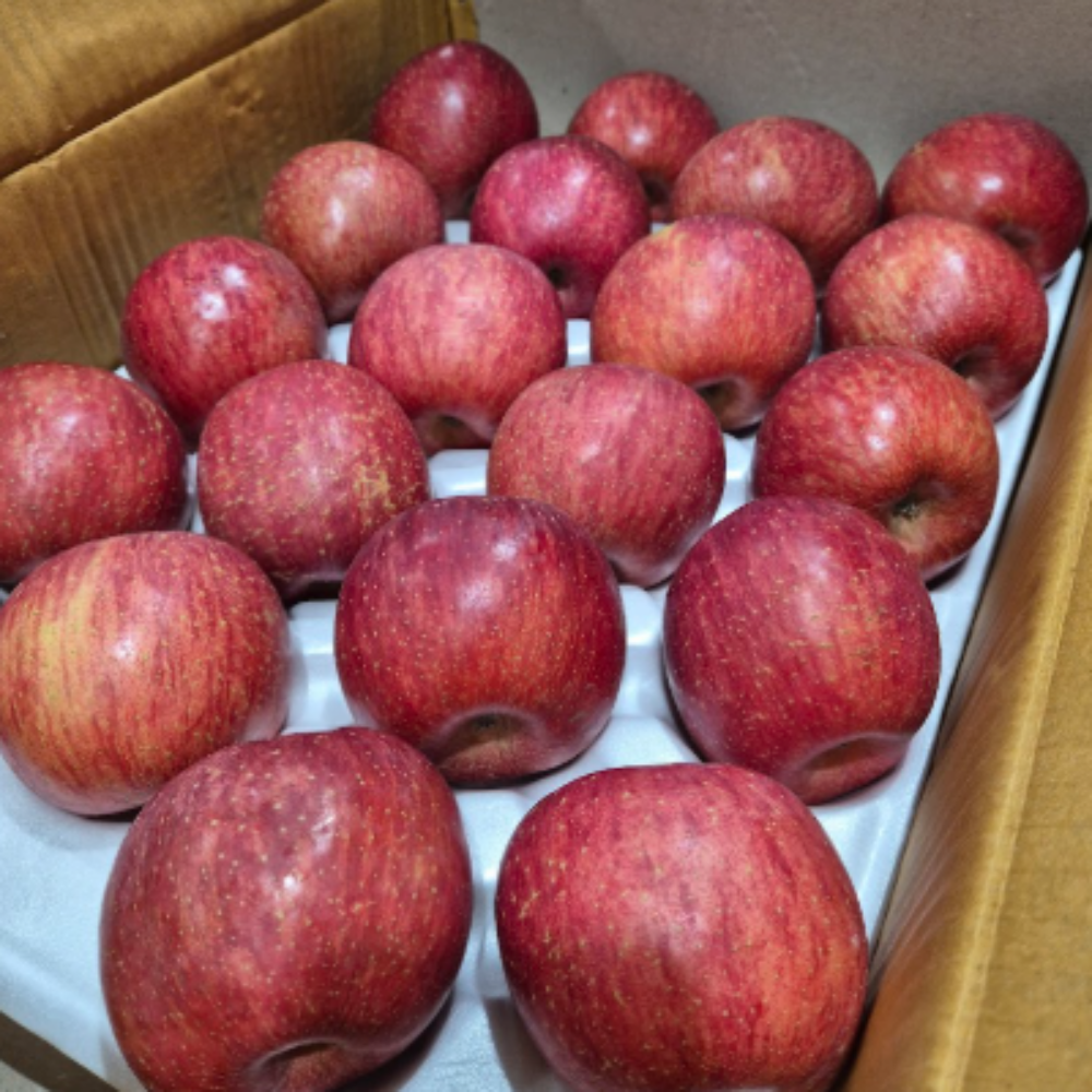 명품 부사사과 경상북도 고당도 선물용 정품 부사 사과 (정품), 1개, 5kg 대과 (정품) 60,500원