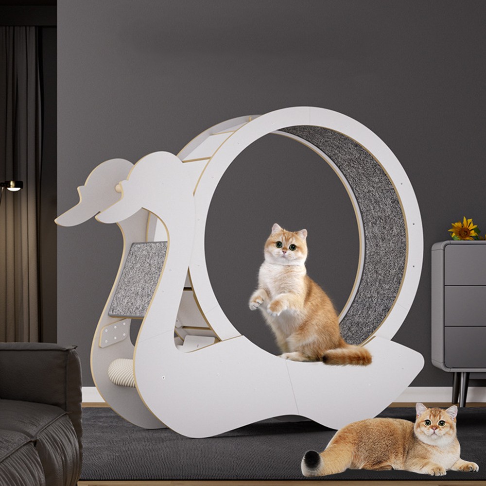 에세넬(ESSENEL) 고양이 운동훈련 헬스 캣휠D 184,200원