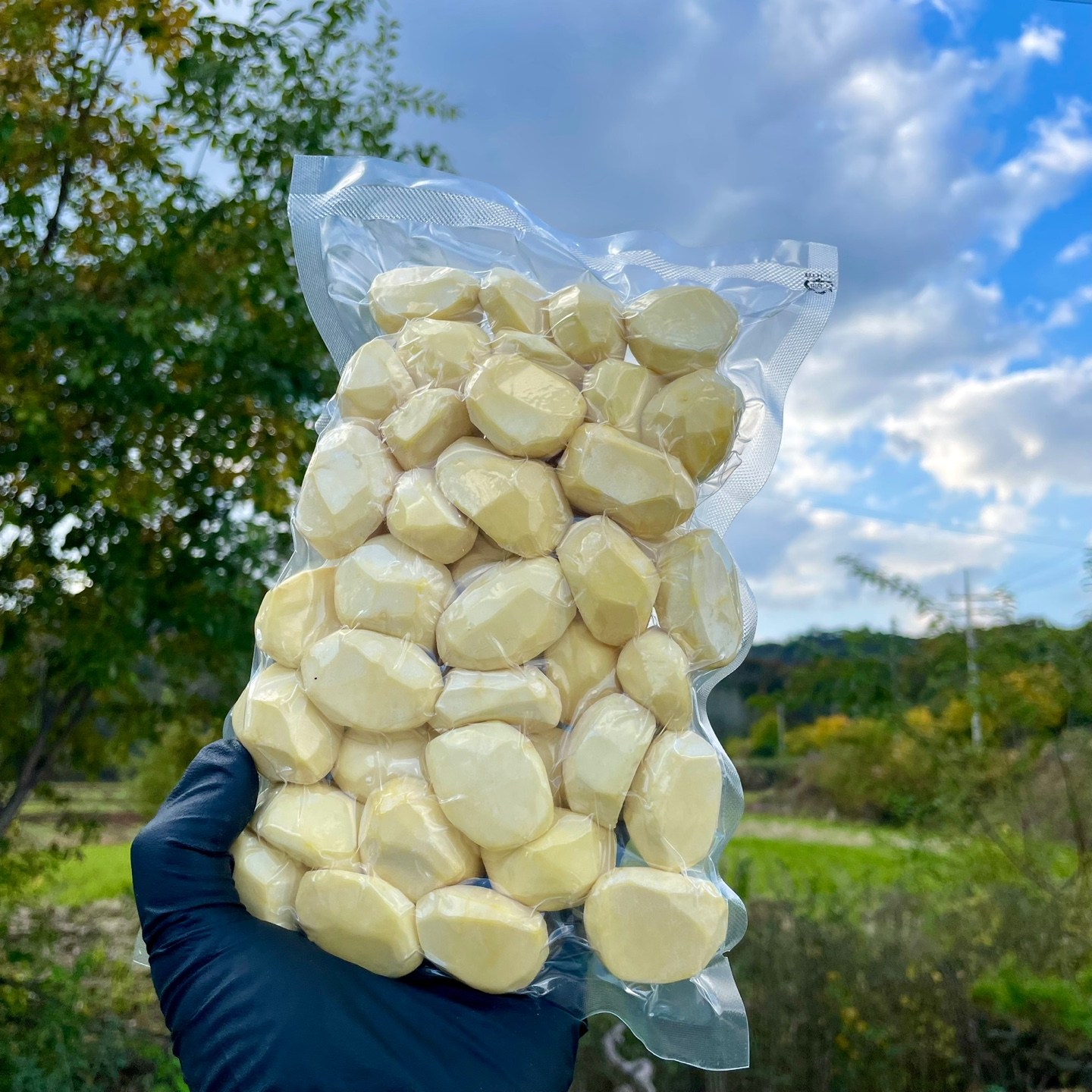 25년 못난이 조각밤 공주밤 실속 깐밤 생율 알밤 정안 업소/가정용 산지직송 당일작업, 1개, 2kg 38,900원