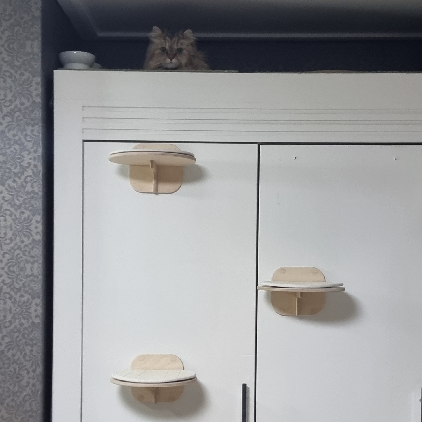 고양이 벽 원형 캣워커 - 원목 고양이 캣타워  폴 선반 구름다리 놀이터 30,000원