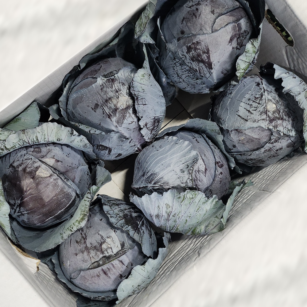 국내산 적채 업소용 대용량 최상품 8kg이상 적양배추, 1박스, 8kg 18,900원