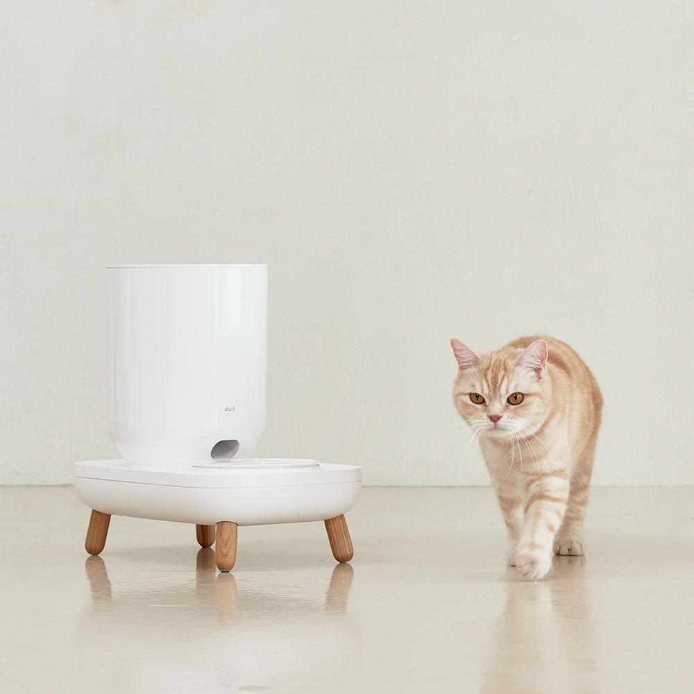 DUIT 더 테이블 플러스 자동급식기 + 그릇 S + 우드 짧은 다리 세트 144,000원