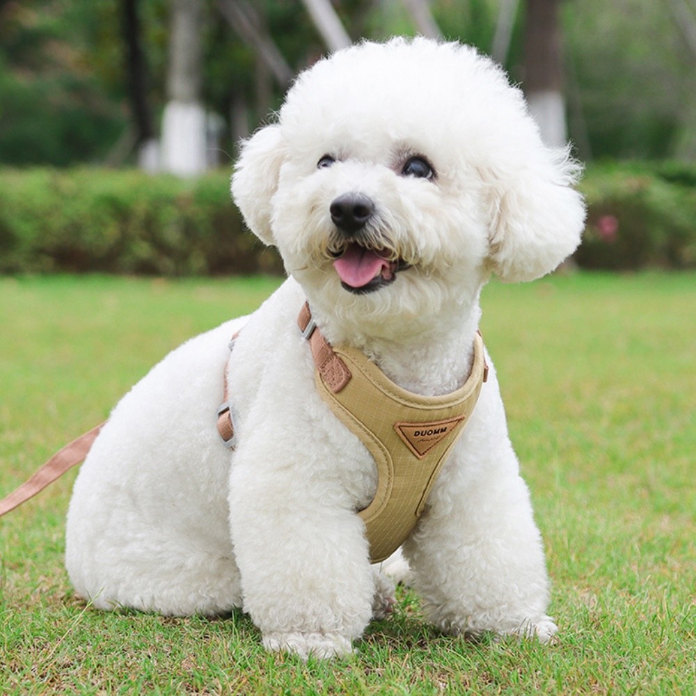 디아쿠아 강아지 고양이 바디핏 하네스 리드줄 세트 8,900원