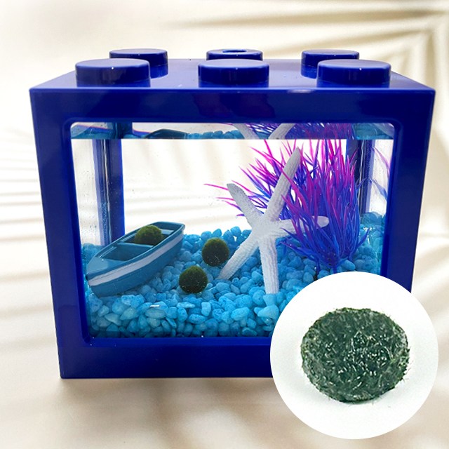 마리모 키우기 세트 1Cm 반려식물 어항 밥 먹이 영양제 피규어 키트 꾸미기 수초 만들기 2,000원