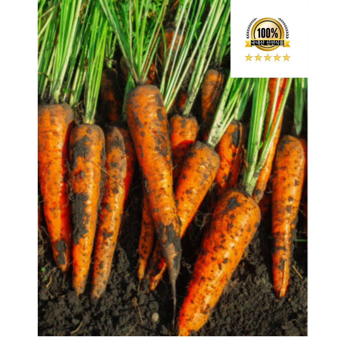 국내산 당근 제주 구좌당근 유기농 못난이당근 흙당근 1kg 2kg 3kg 5kg 10kg 24,900원