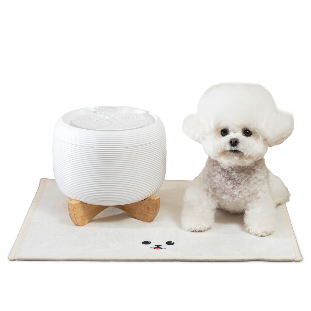 페키움 고양이 강아지 정수기 자동 급수기 저소음 올인원 세트, 1세트 69,000원