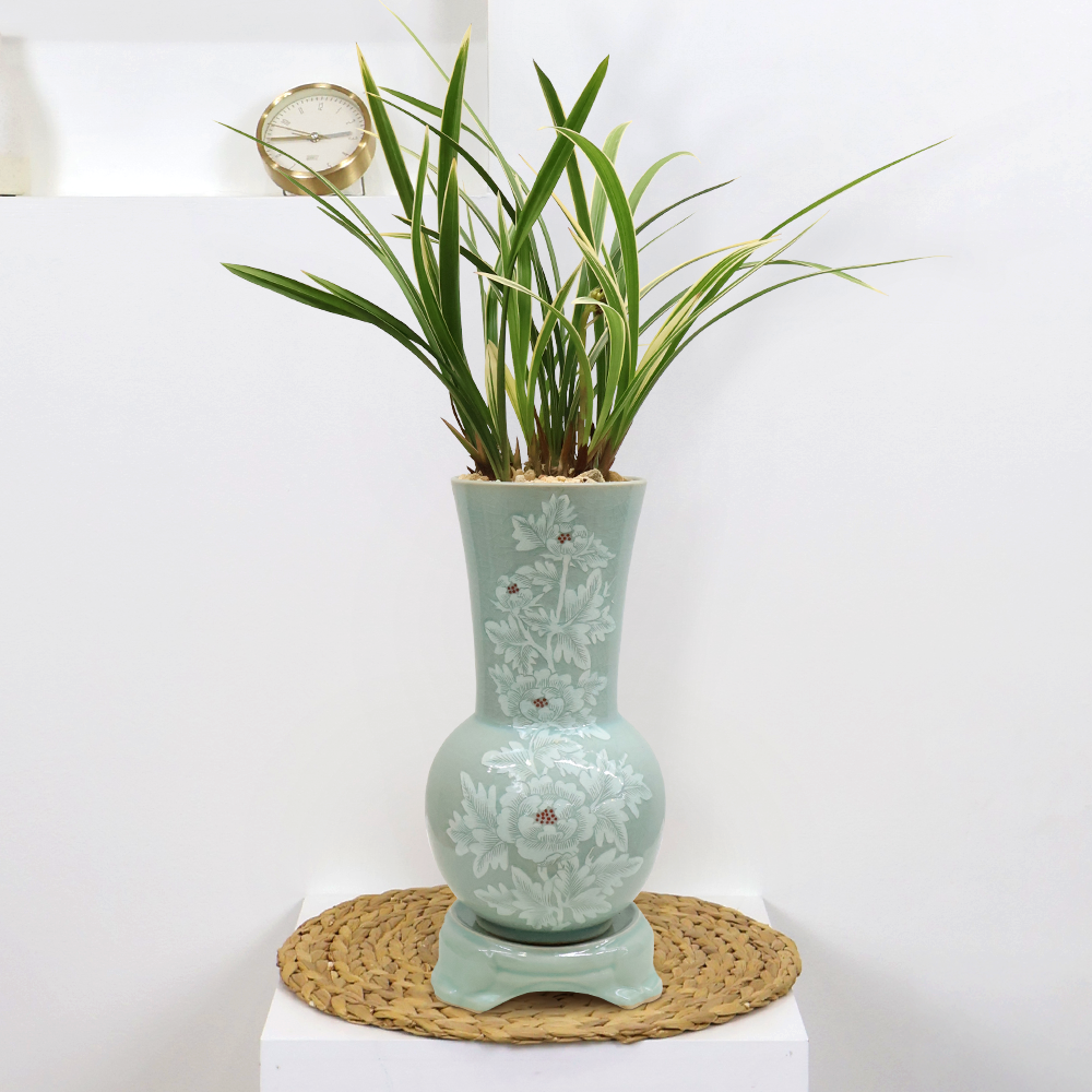 에코플라워 동양란 (이천작품 회청목단 장경분(대)) 수도권배송 사진전송 승진 영전 인사이동 진급 취임 개업 당일배송 g-0137, 1개 360,000원