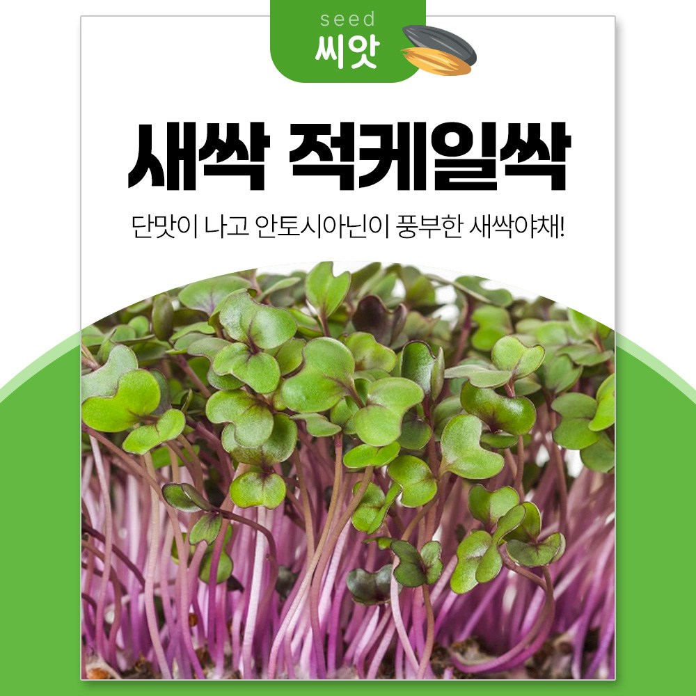 세경팜 안토시아닌 듬뿍 적케일싹 30g 새싹채소 씨앗 16,000원