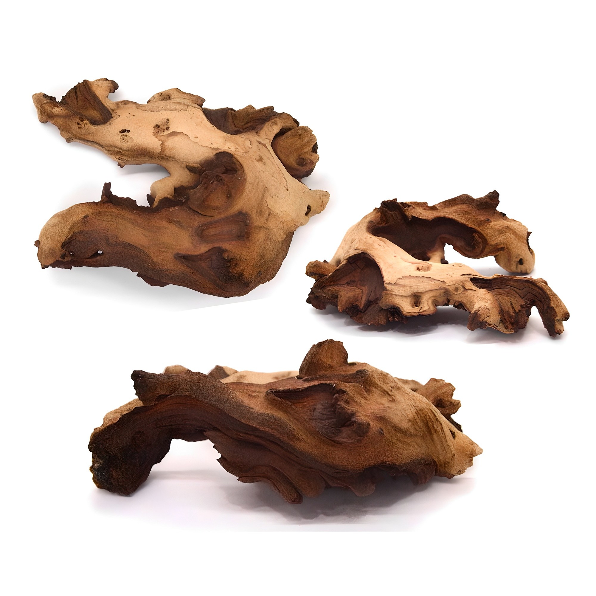 세틀 프리미엄 모파니 투톤 유목 수조장식 랜덤발송 8,500원