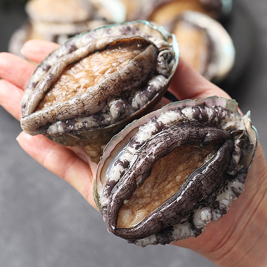 17년 전통 순천만수산 프리미엄 전복 9-10미 1kg 정직한 중량 산소팩포장 24,150원