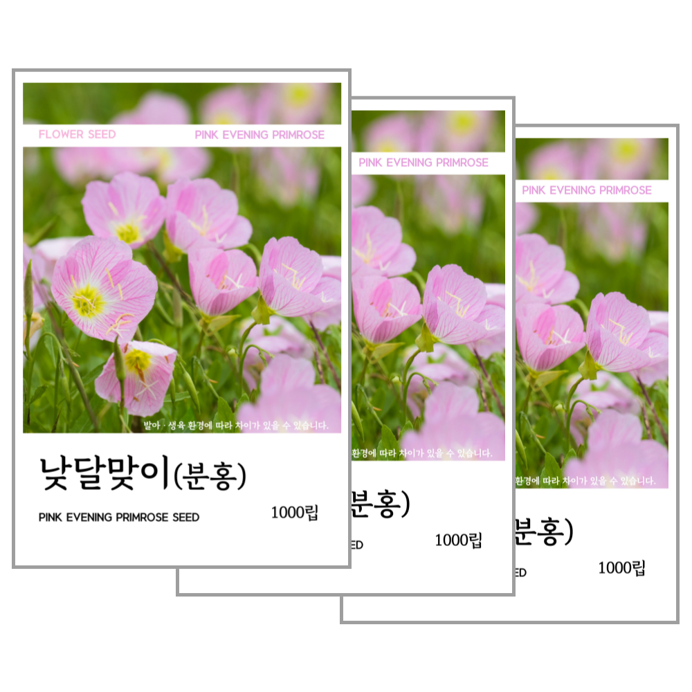 낮달맞이(분홍) 씨앗 1000립, 3개 9,250원