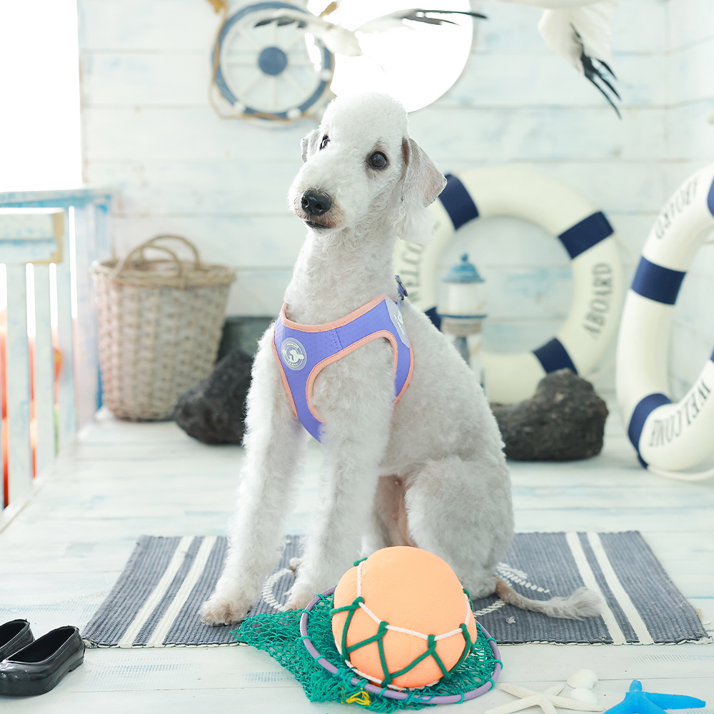 펫줄앤코 여름 냉감 쿨 하네스 이지 클립 X형 23,000원