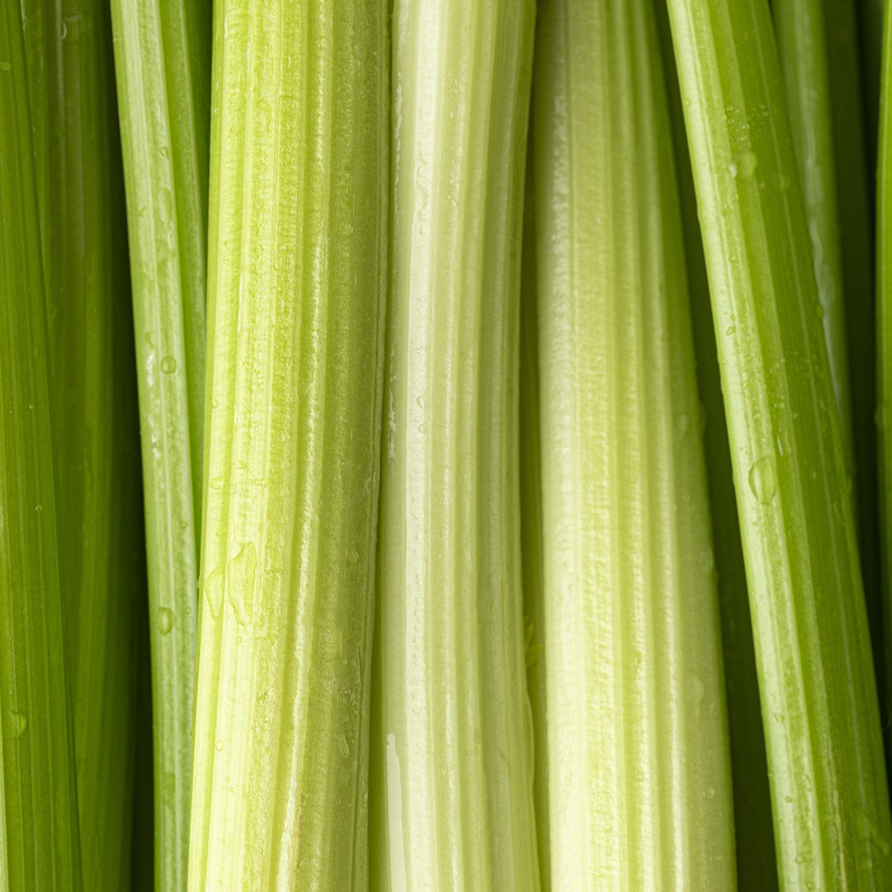 친환경 무농약 샐러리 국산 셀러리 1kg, 1박스, 1kg 12,900원