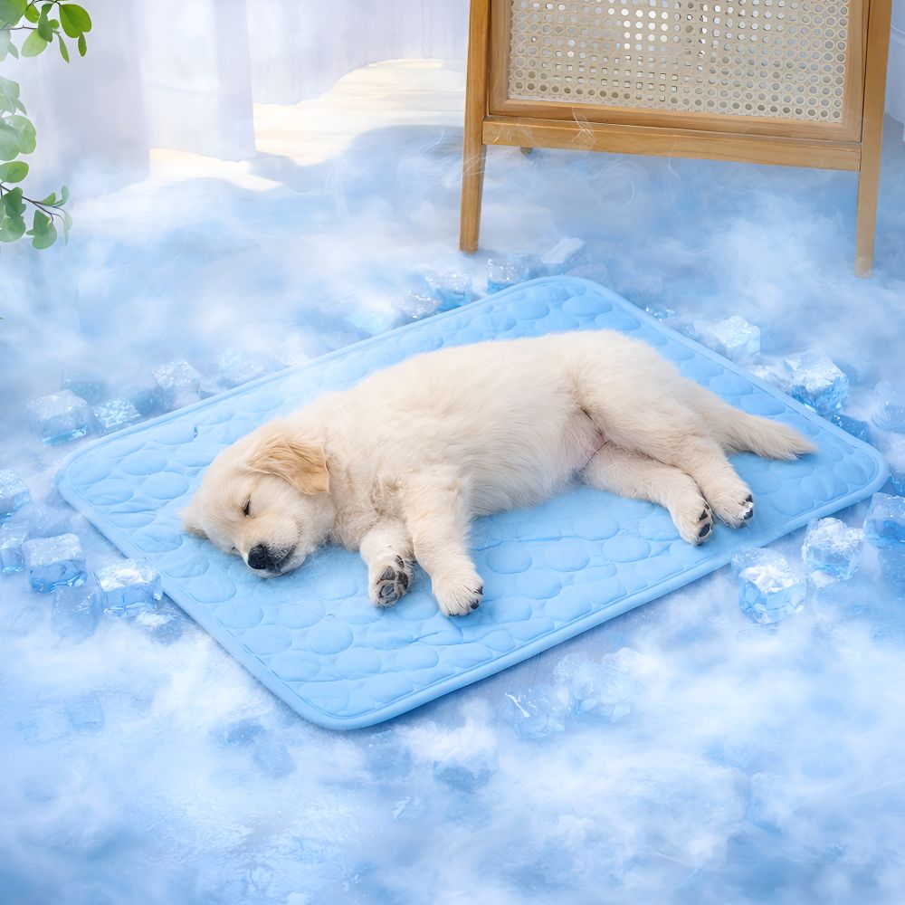 다성 반려동물 쿨링 애견 매트 쿨방석, 1개, 블루 12,900원