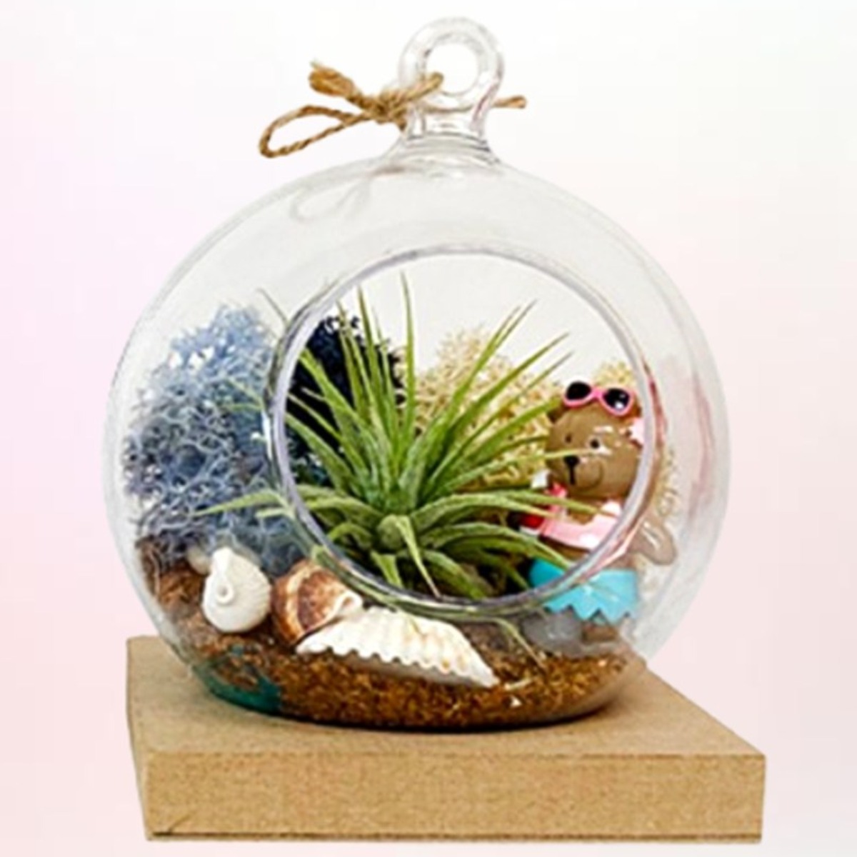 미니 이오난사 테라리움 키트 스칸디아모스 diy 만들기, 1개 7,650원