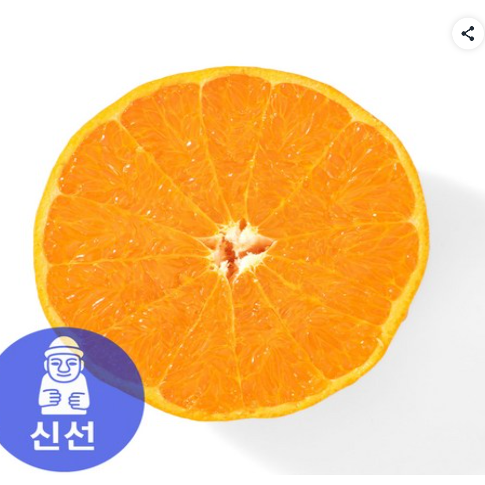 [재구매율1위] 최고당도 17브릭스 천혜향 로얄과 60,900원