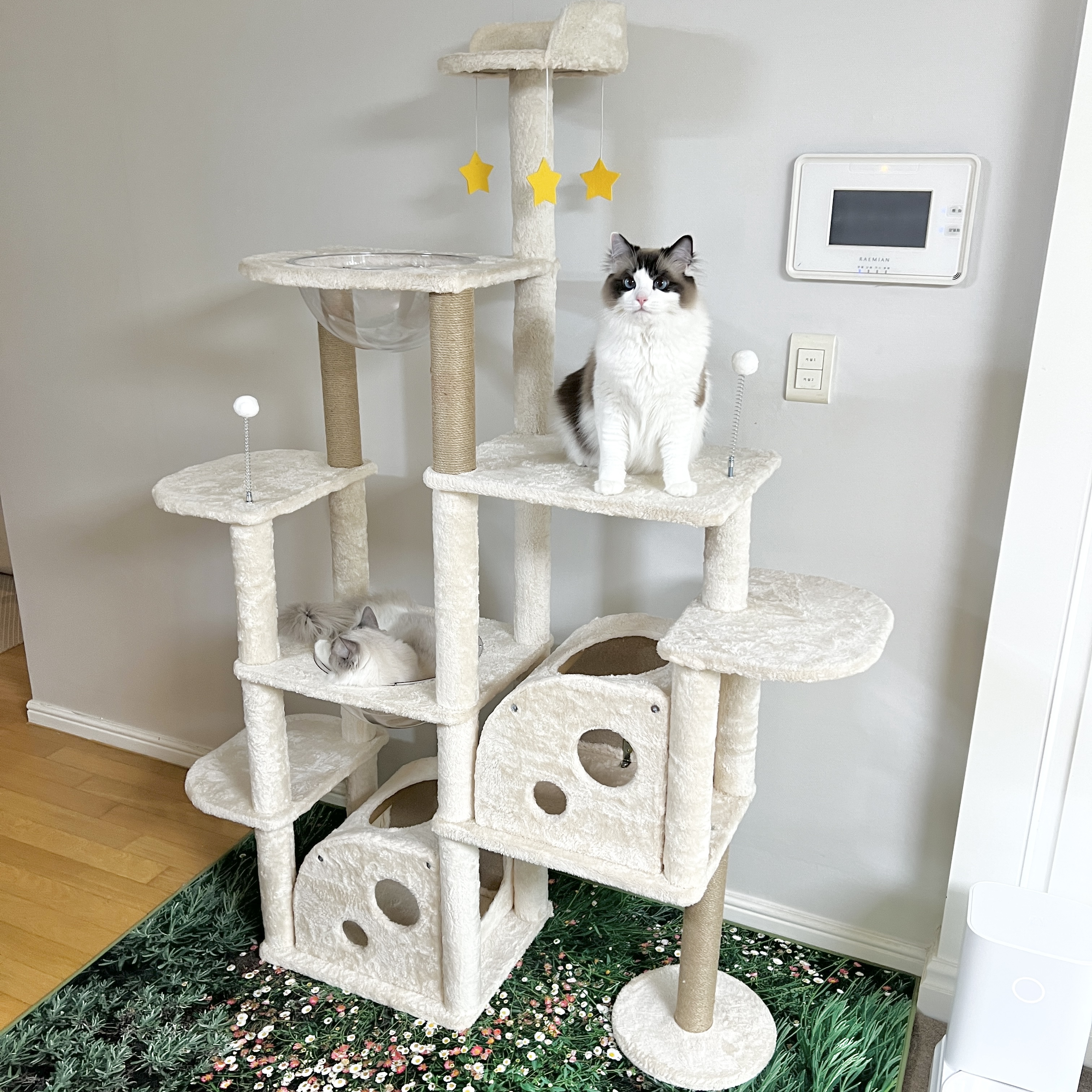 펫카 고양이 미끄럼 방지 스크래쳐 캣타워 대형 133.6 x 49.7 x 171.8 cm PTWT-08 140,300원