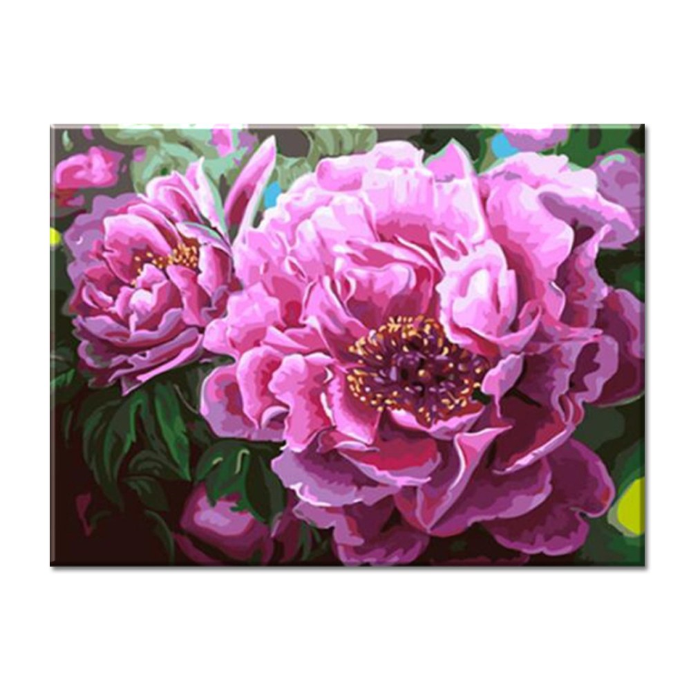 (대형 물감 3배) 모모픽스페인팅 WK20 화려한 모란꽃 75x60cm DIY명화그리기 세트 유화 꽃그림 풍경 35,500원