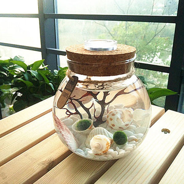 테라리움 화분 LED볼단지 1300ml 마리모 조명 유리병 10,800원