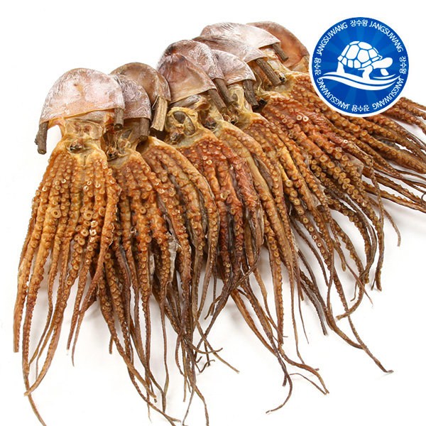장수왕 피문어 (중 35-40cm) 1마리 /말린 문어 제수용 약문어 건문어 22,470원