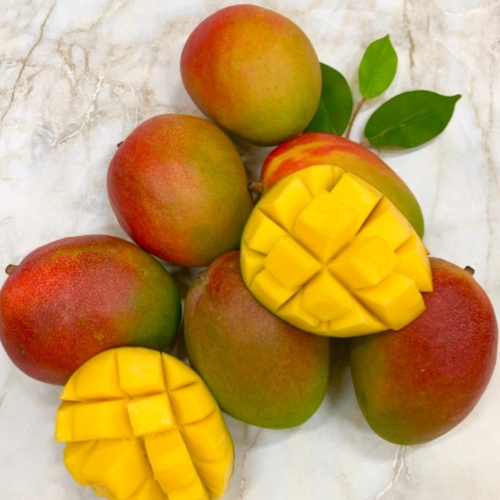 고당도 애플망고 항공직송 2과 4과 8과, 1박스, 애플망고 8입 대과 81,900원