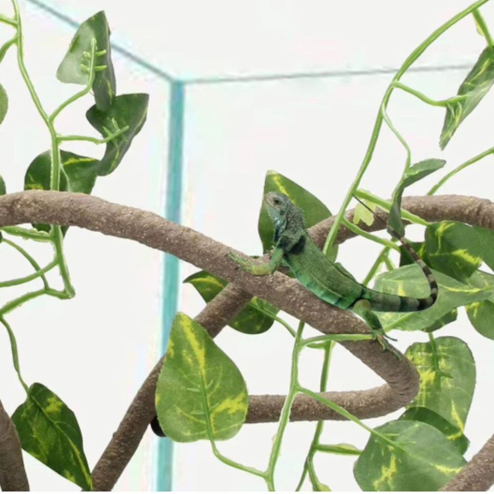 테라리움 덩굴장식 꾸미기 파충류 도마뱀 카멜레온, 1개, 1.5m 13,700원