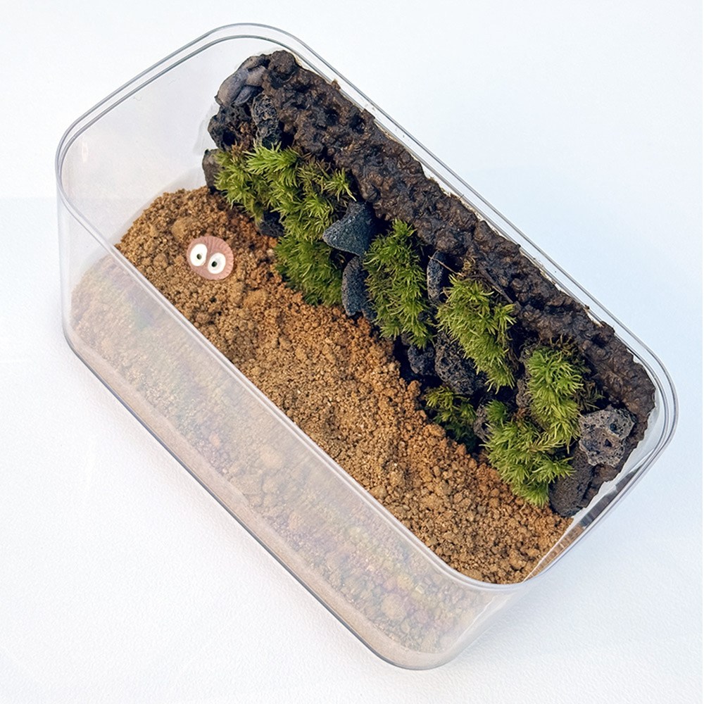 이끼 테라리움 나만의 작은 숲 만들기 DIY 키트 3,920원