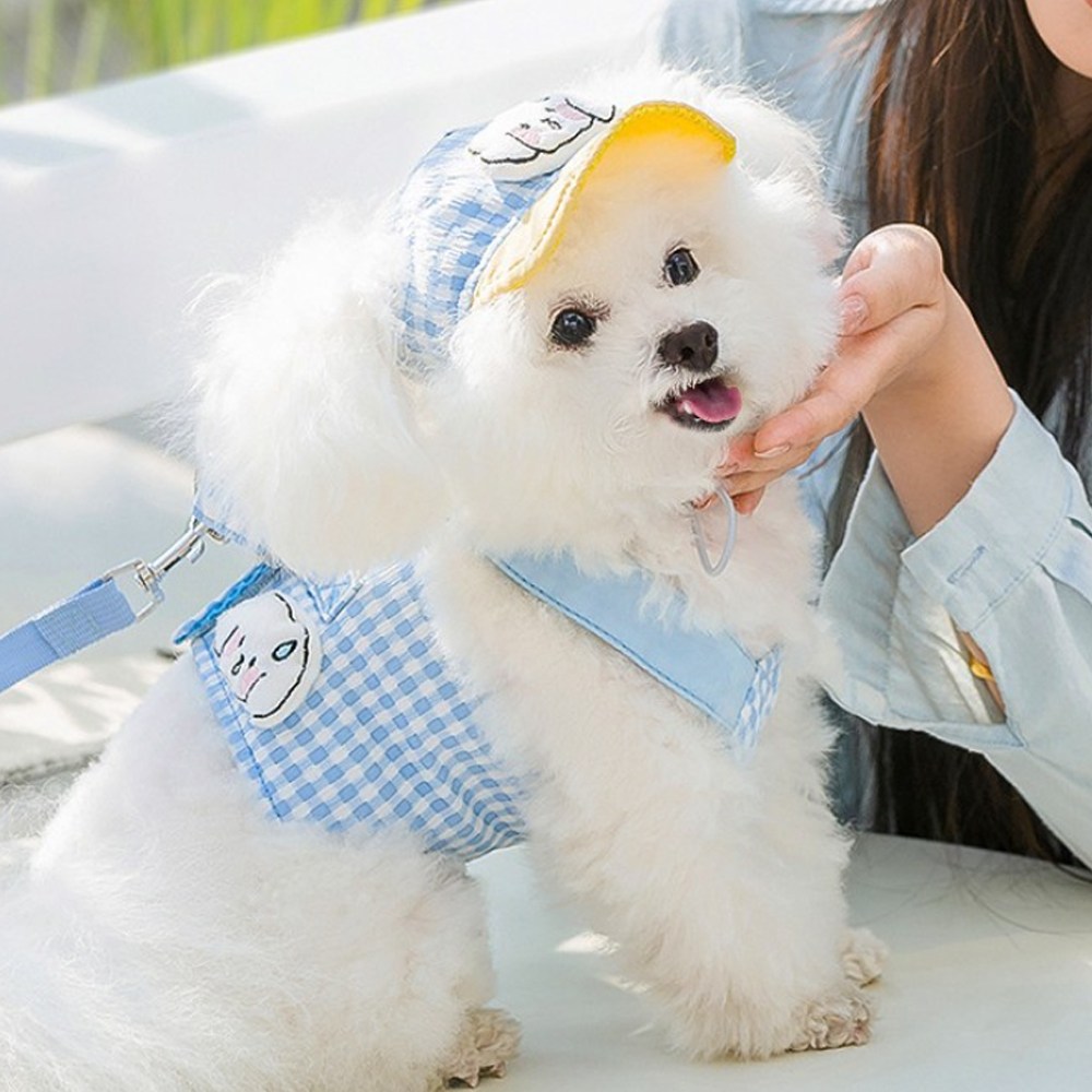 숑숑펫 반려동물 메쉬 가슴 하네스 줄 세트, 1개, 블루 18,900원