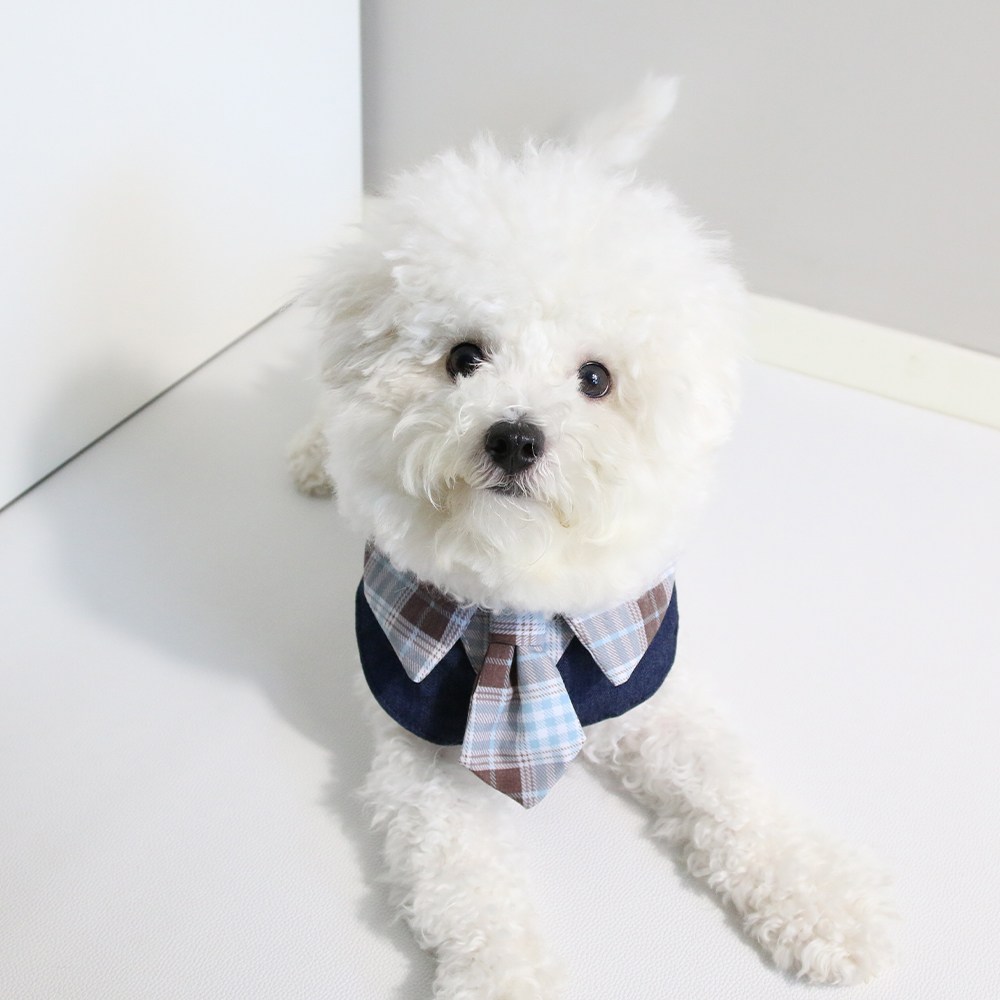 드림계곡 체크무늬 학원 스타일 강아지 스카프, 1개, 블루 9,900원