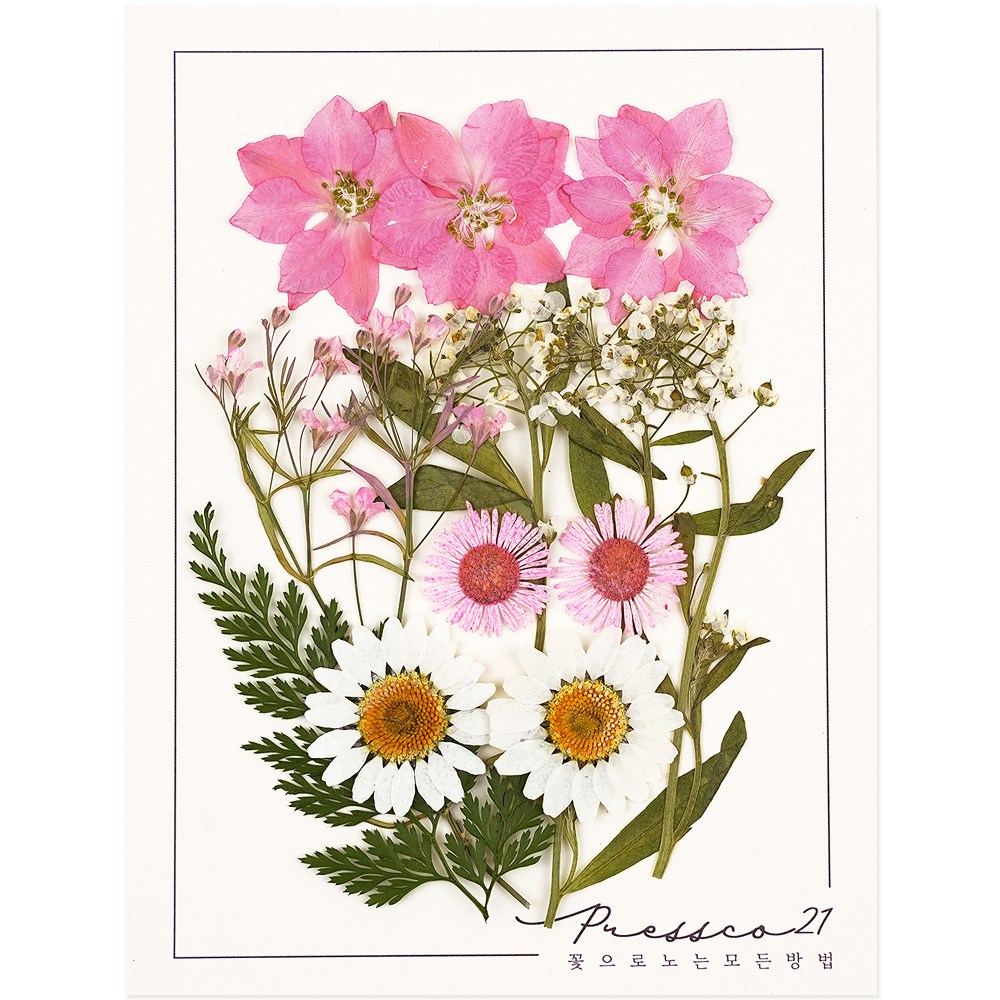 압화 압화꽃 꽃송이 프레스코21 종합팩 3000A 3,000원