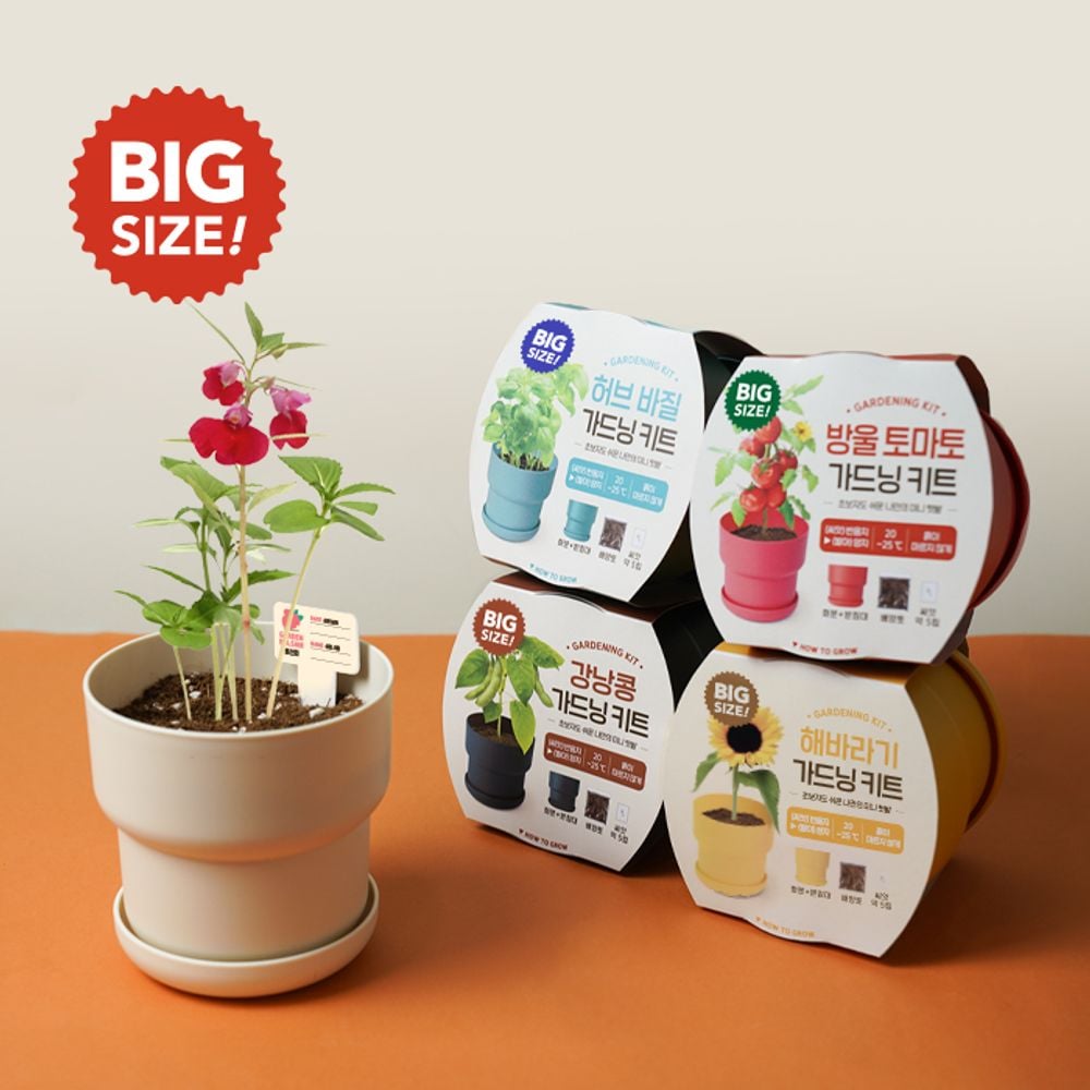 꿈쟁이 나만의 미니텃밭 big 가드닝키트 5종 중 택1 식물키우기 식물키우기세트 미니화분키우기 8,240원