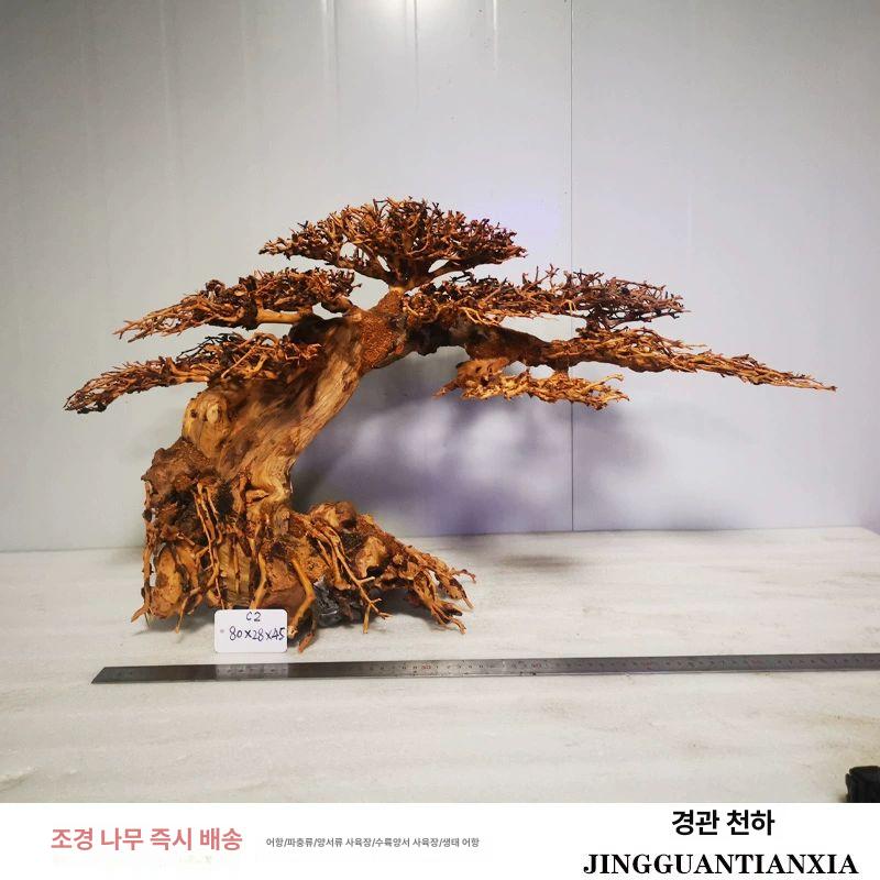 성형유목 만자니타모스트리 수족관 소나무 모스나무 310,500원