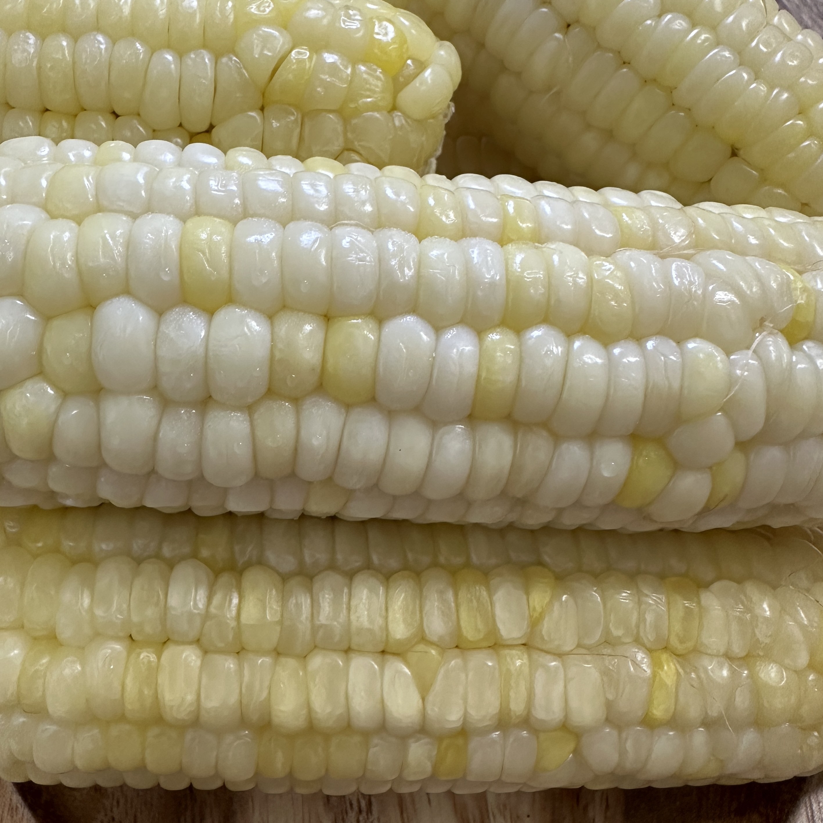 강원도 냉동 생 옥수수 급냉 찰옥수수 64,000원